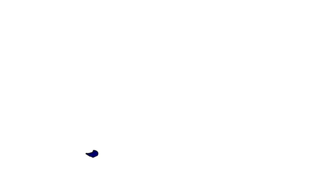 Pavel's Map